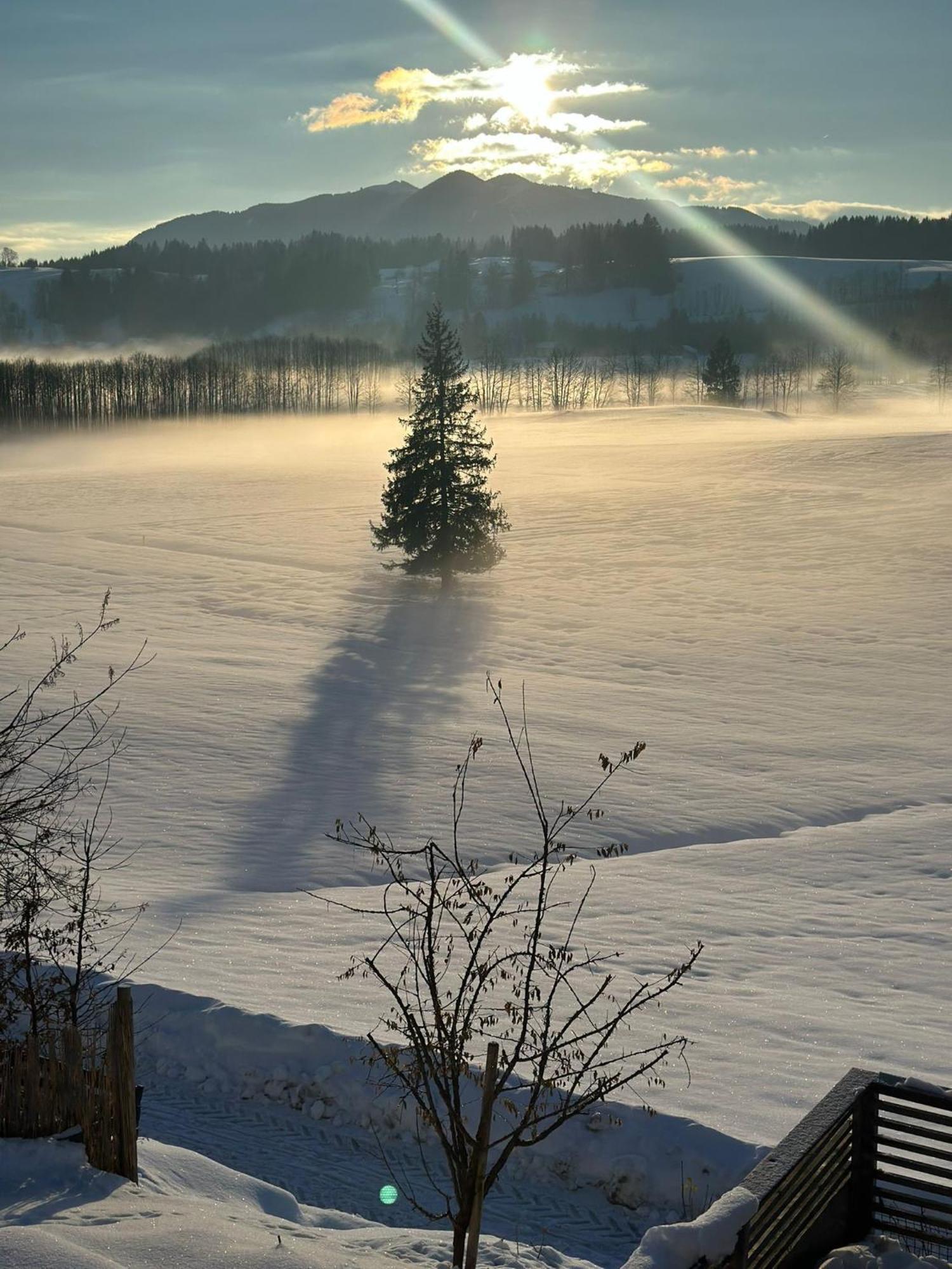 Alpen Wohlfuehlquartier Villa Bad Bayersoien Bagian luar foto